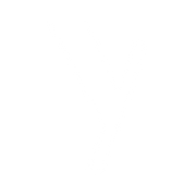 YoungNoise