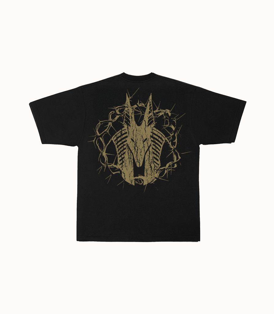 Golden Anubis - Boxy T-Shirt