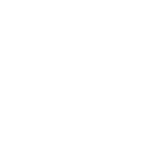 YoungNoise